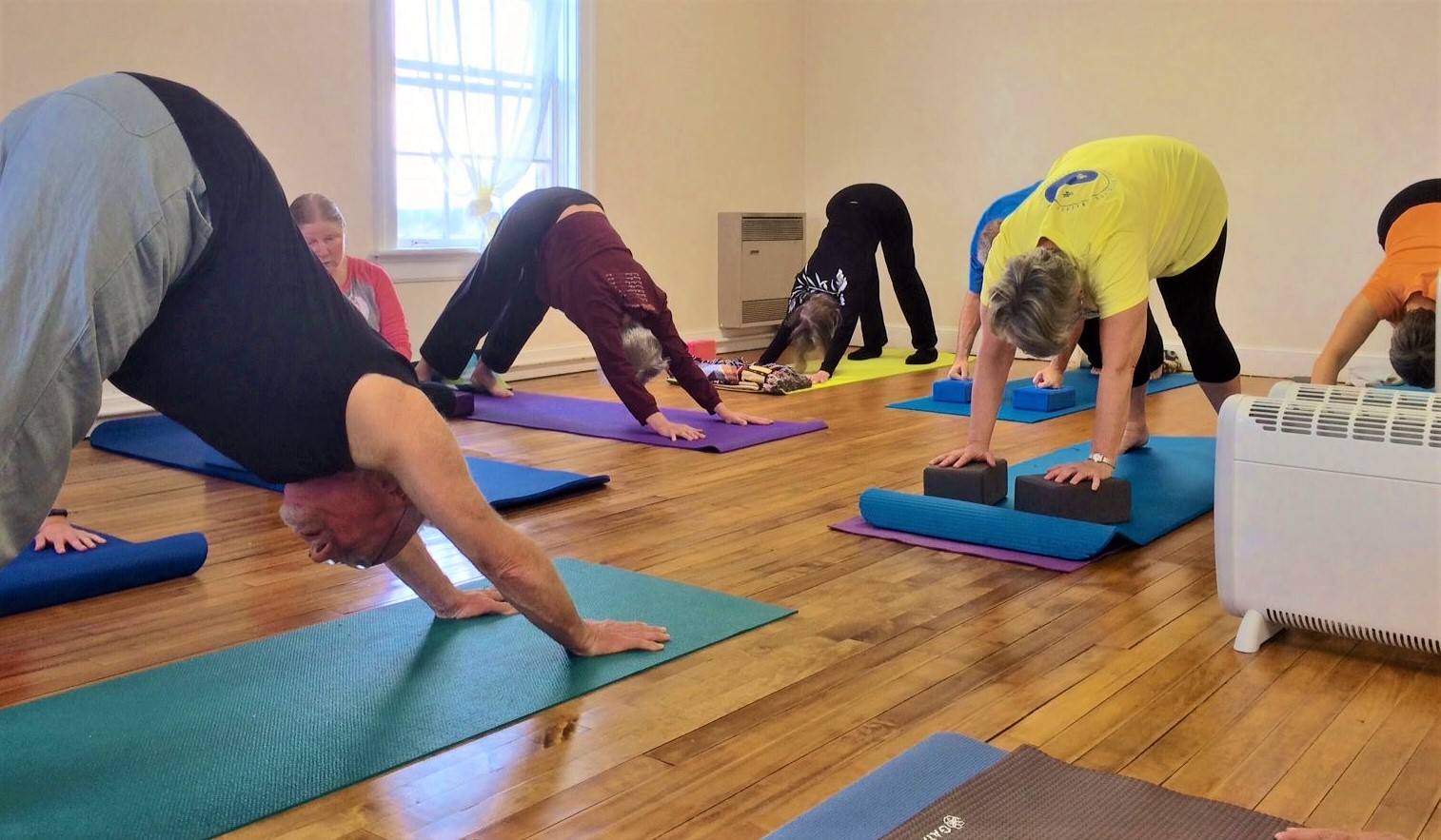 Studio Downward Facing Dog Pose 1 on  8-17.jpg