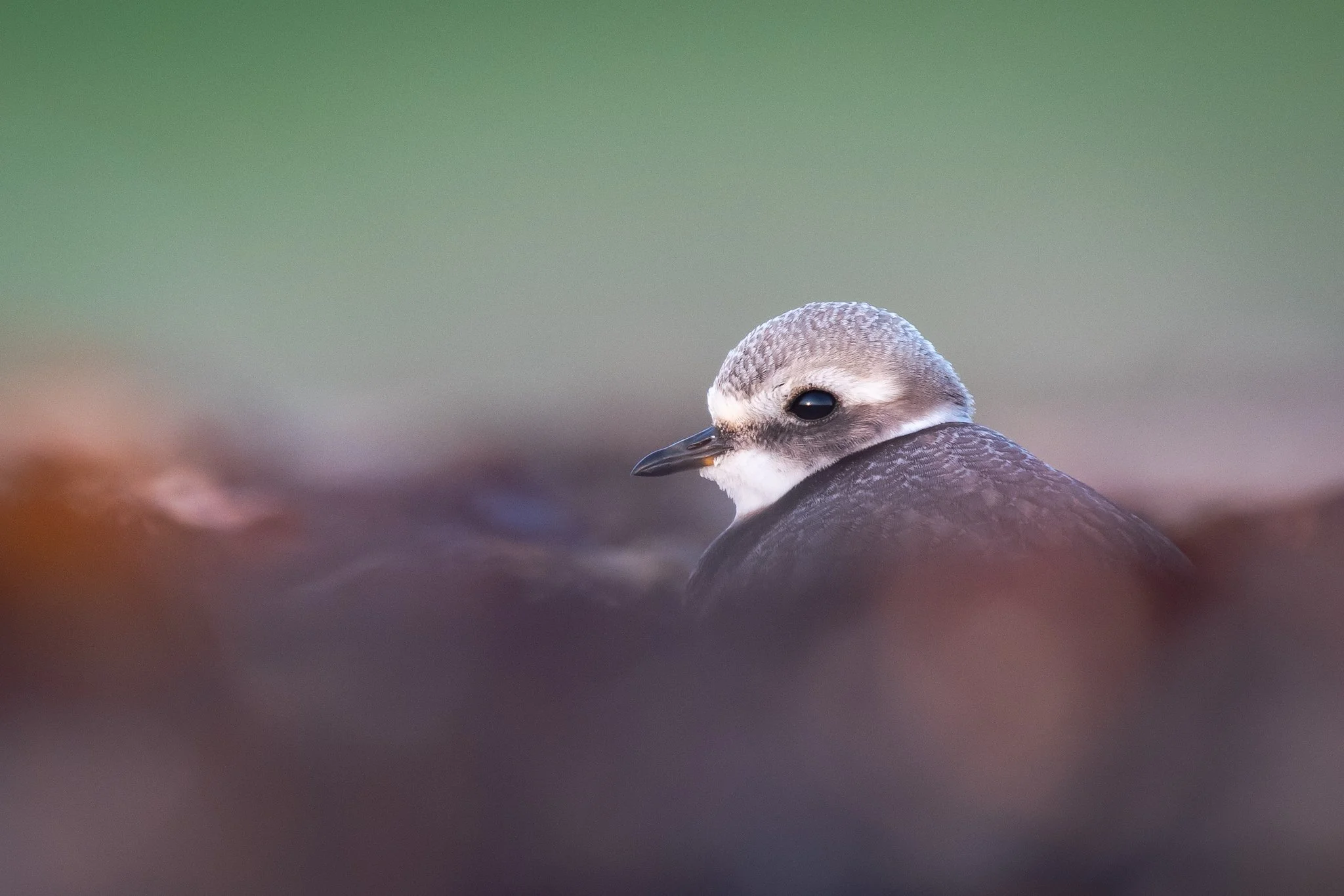 An evening along a Cornish shoreline