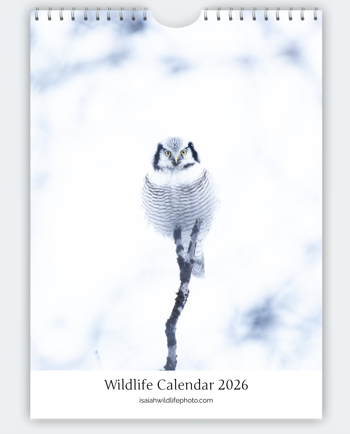 Screenshot 2025-11-21 at 10.37.21.png