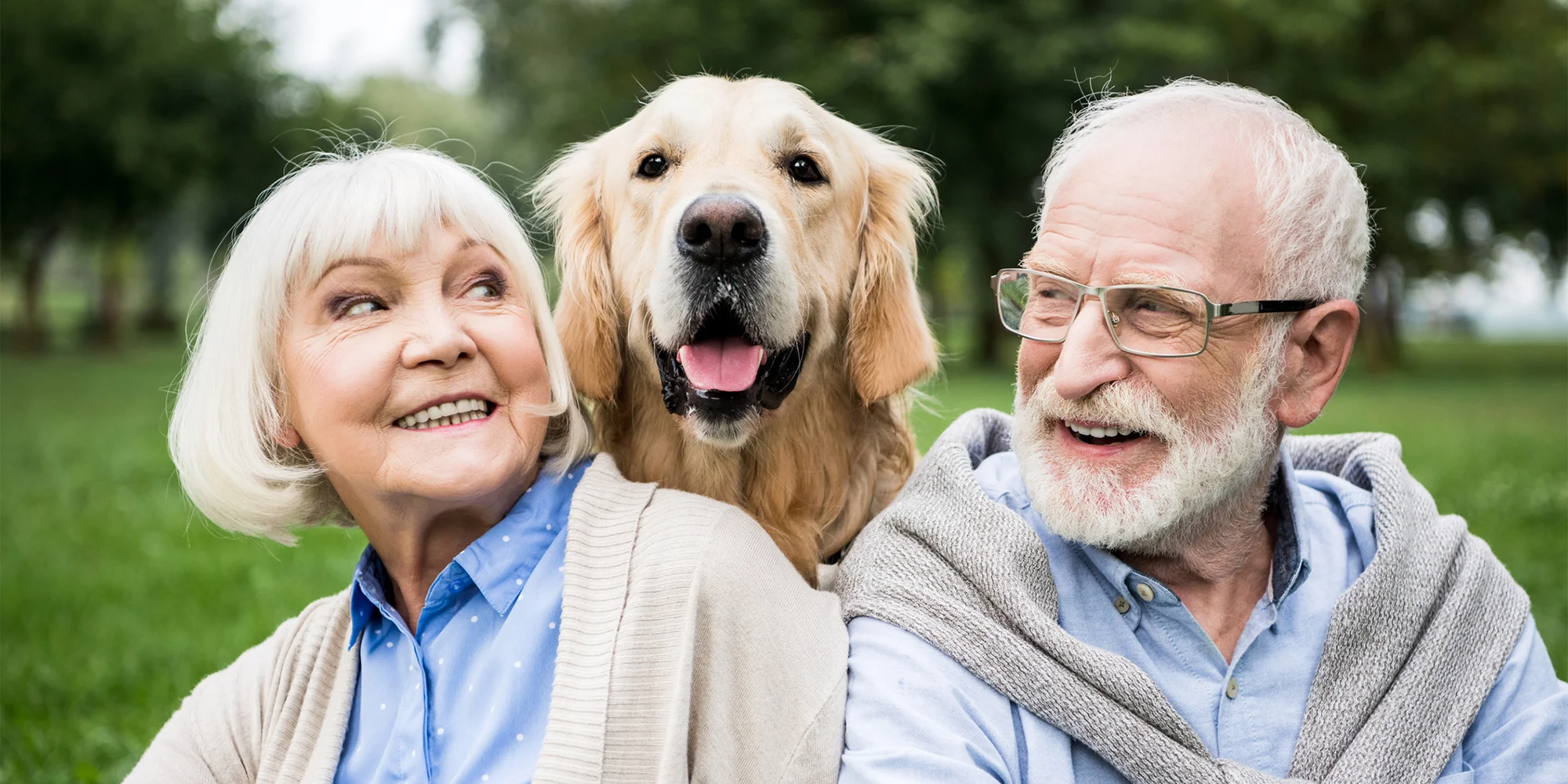 senior-source-directory.jpg