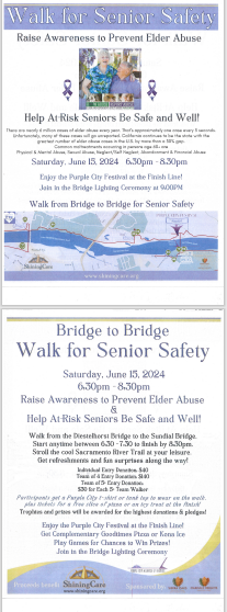 Bridge to Bridge Safety Walk