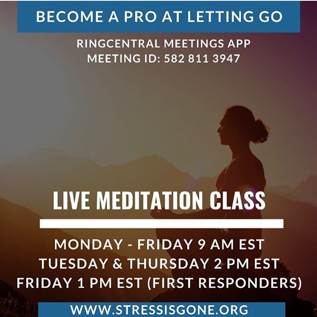 8 free class every week. Donate if you can. All are welcome @stressisgone  www.stressisgone.org