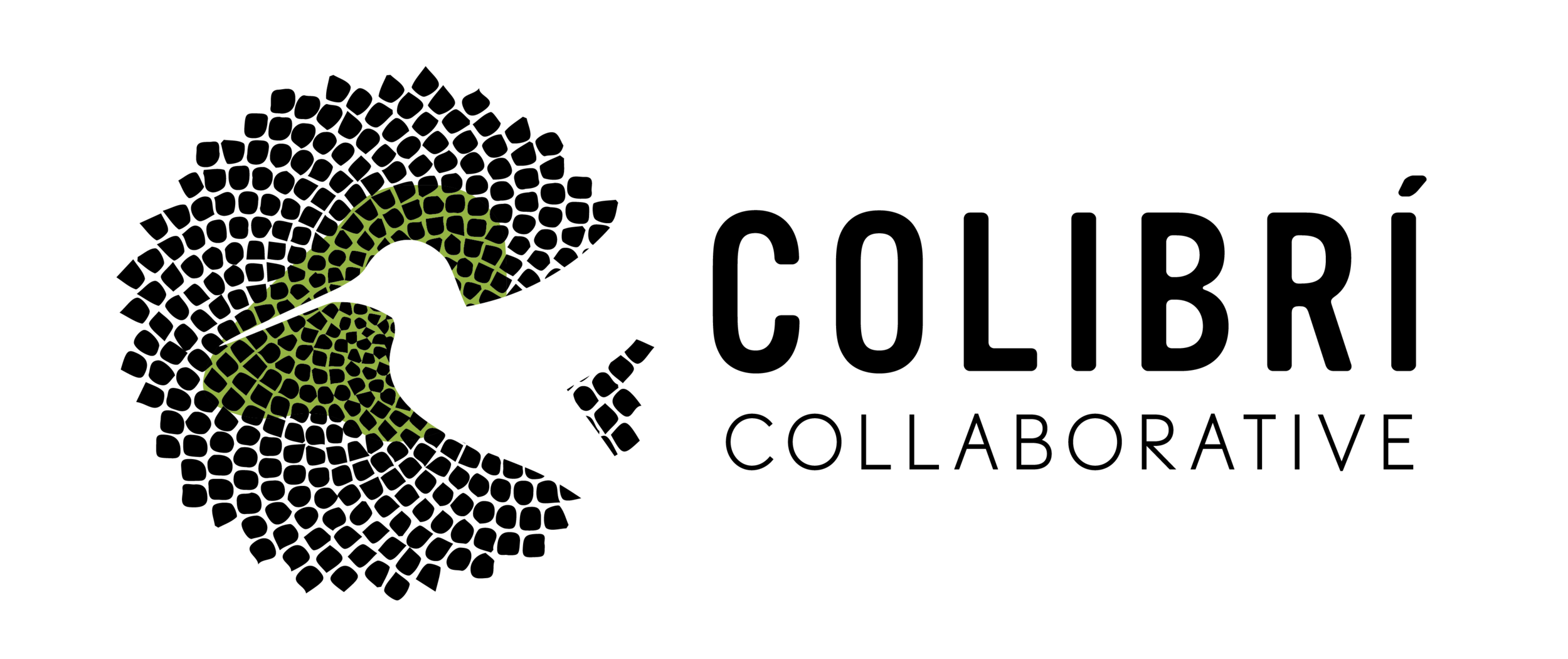 Colibri Collaborative Change Management Organizational Development Leadership Coaching