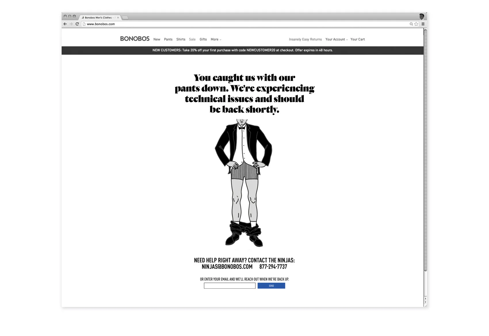 Bonobos_error.jpg