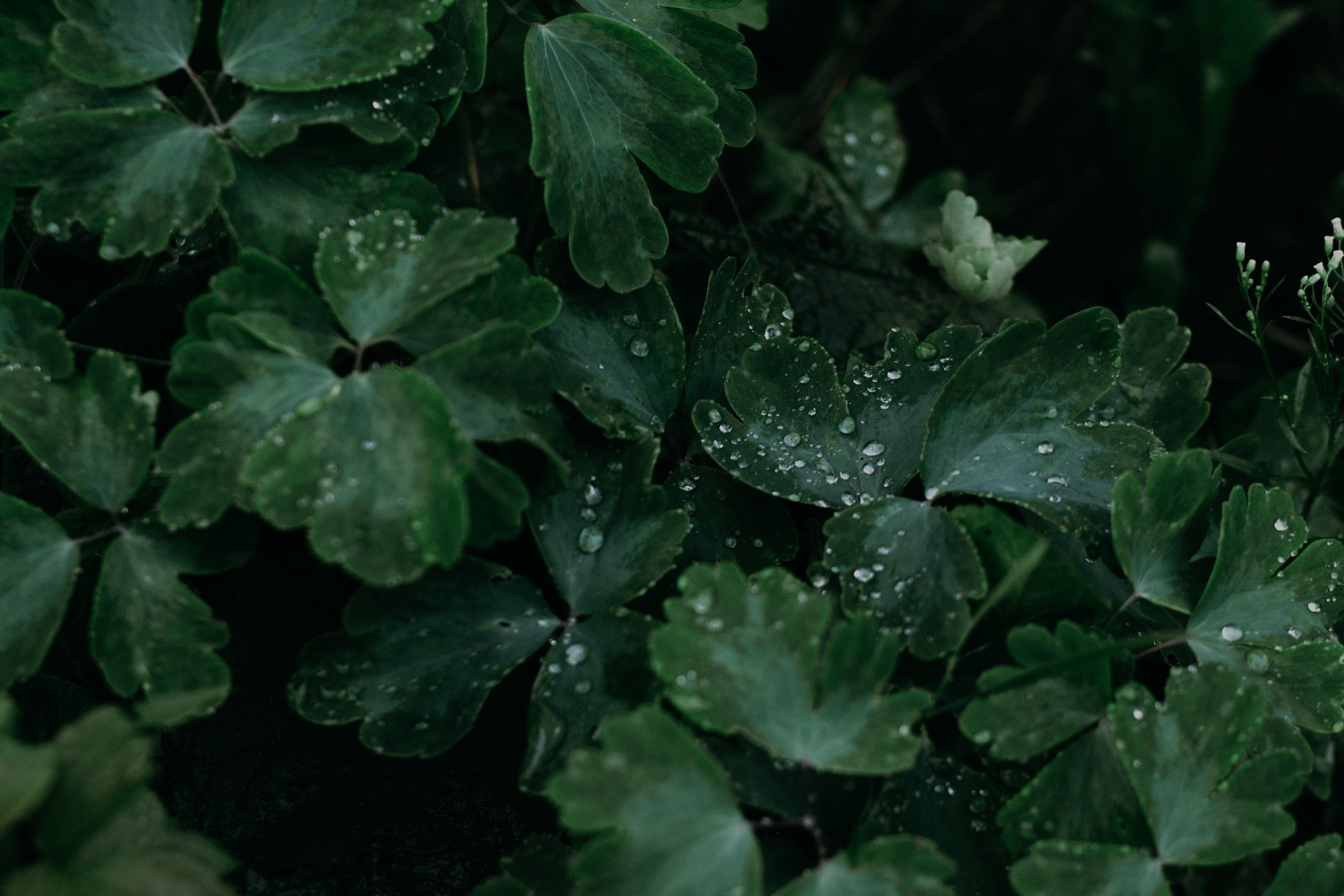 irina-iriser-ztMuZyqEQpg-unsplash-2.jpg
