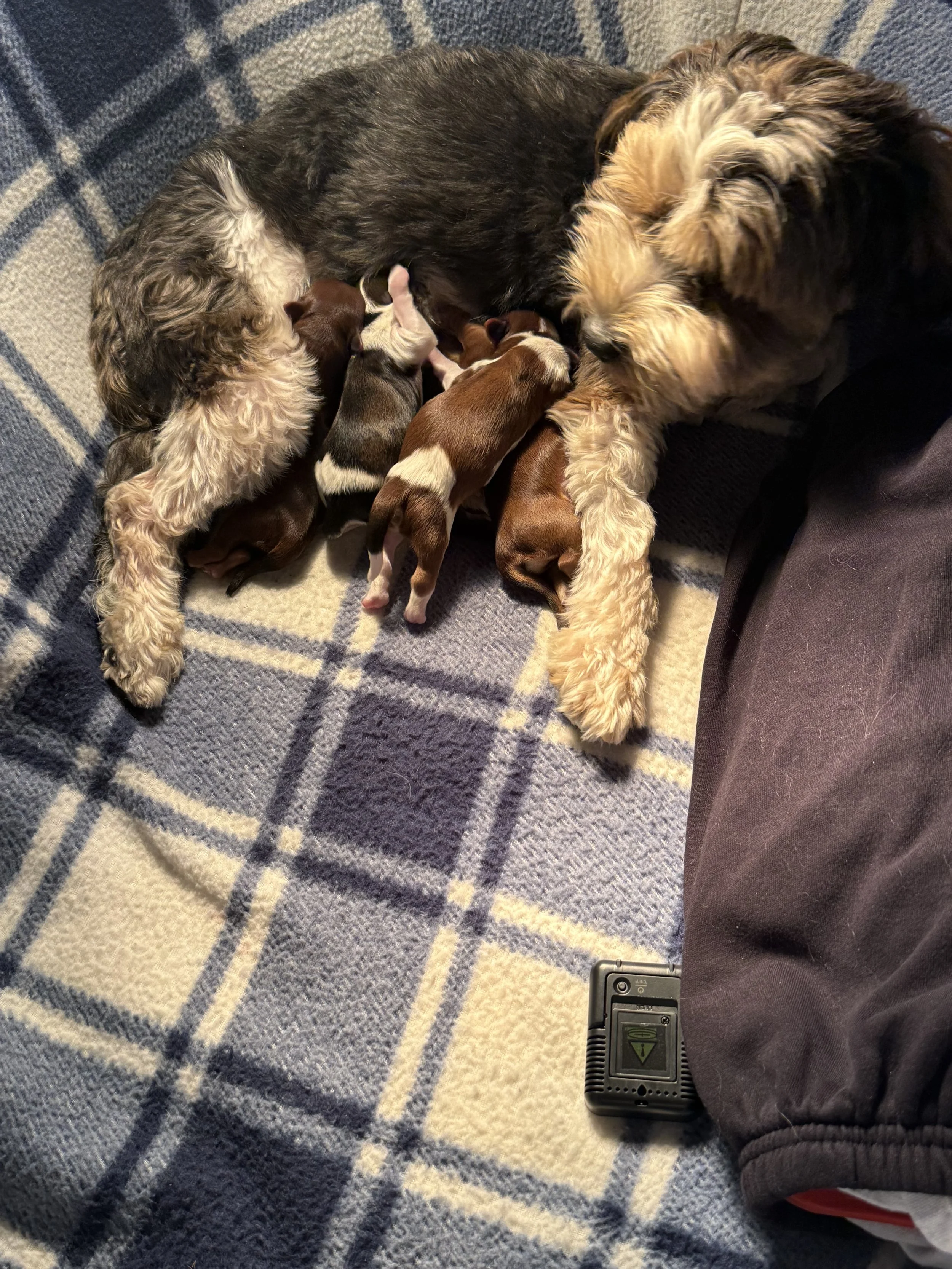 IMG_0213.jpeg