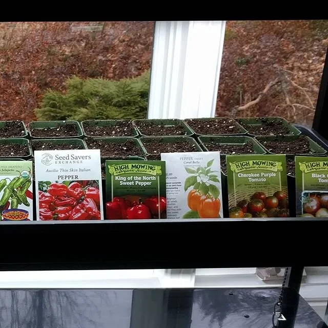Two weeks into the stay at home order and we're finally 6 weeks from the last frost day... #covid can't stop me from starting my seeds!! 🌱🌱🌱 #seedstarting #vermontgardening #growyourown