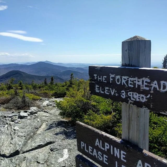 Awesome first hike of the season up #mtmansfield-- and a much needed break from gardening! Something tells me local hiking is the new traveling this year.... #hikevermont #vermont #summer2020