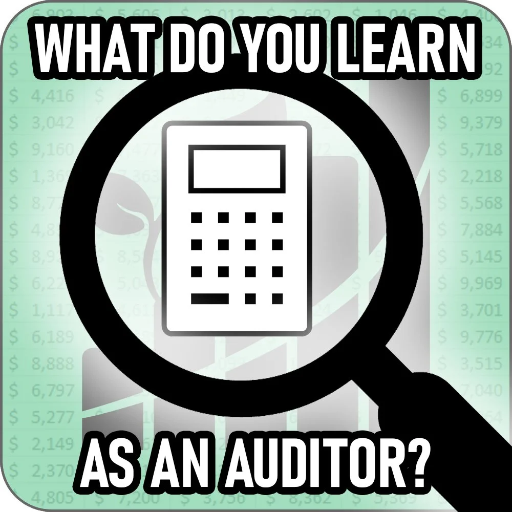 What Do You Actually Learn Doing Audits?