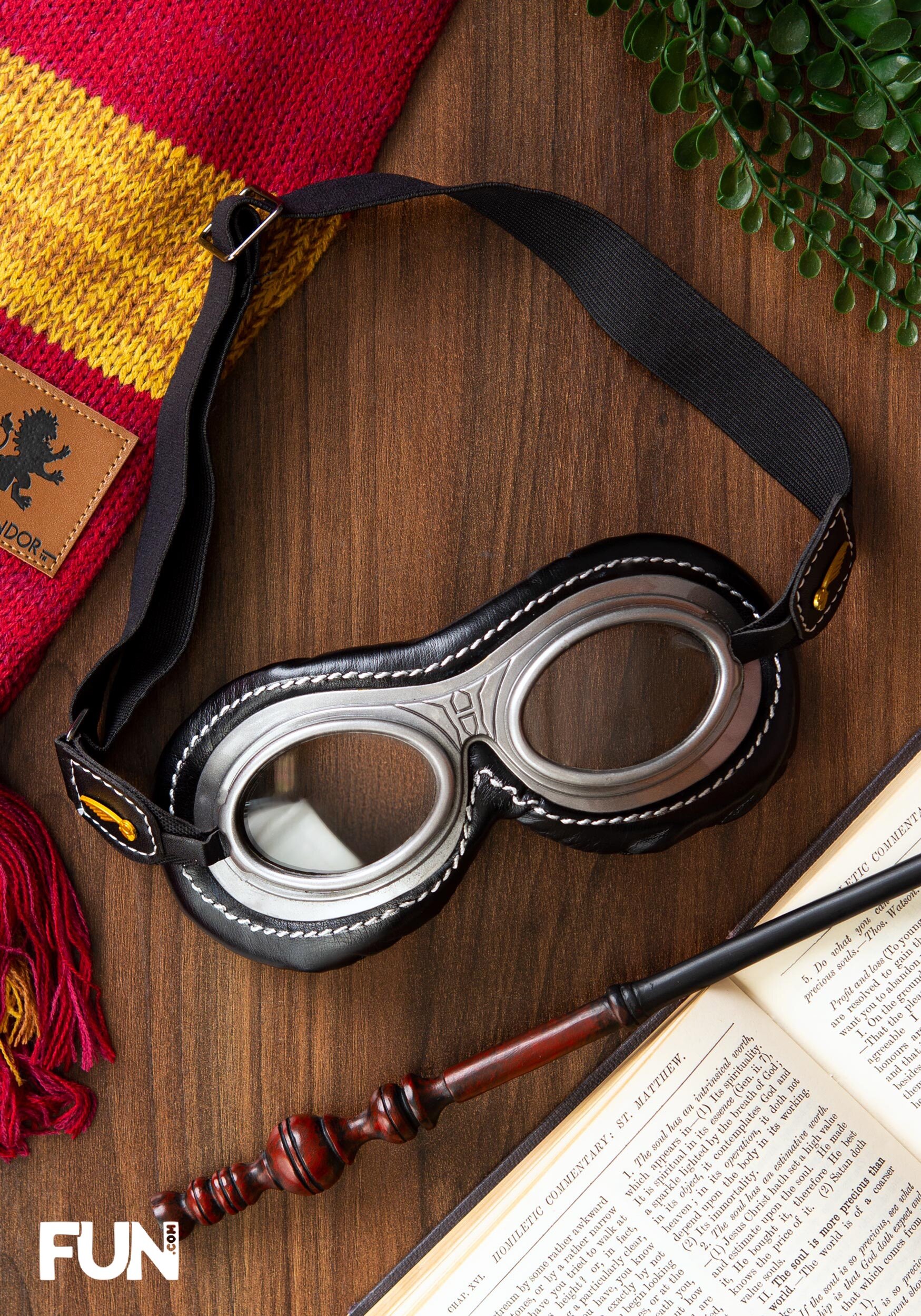 quidditch goggles.jpeg