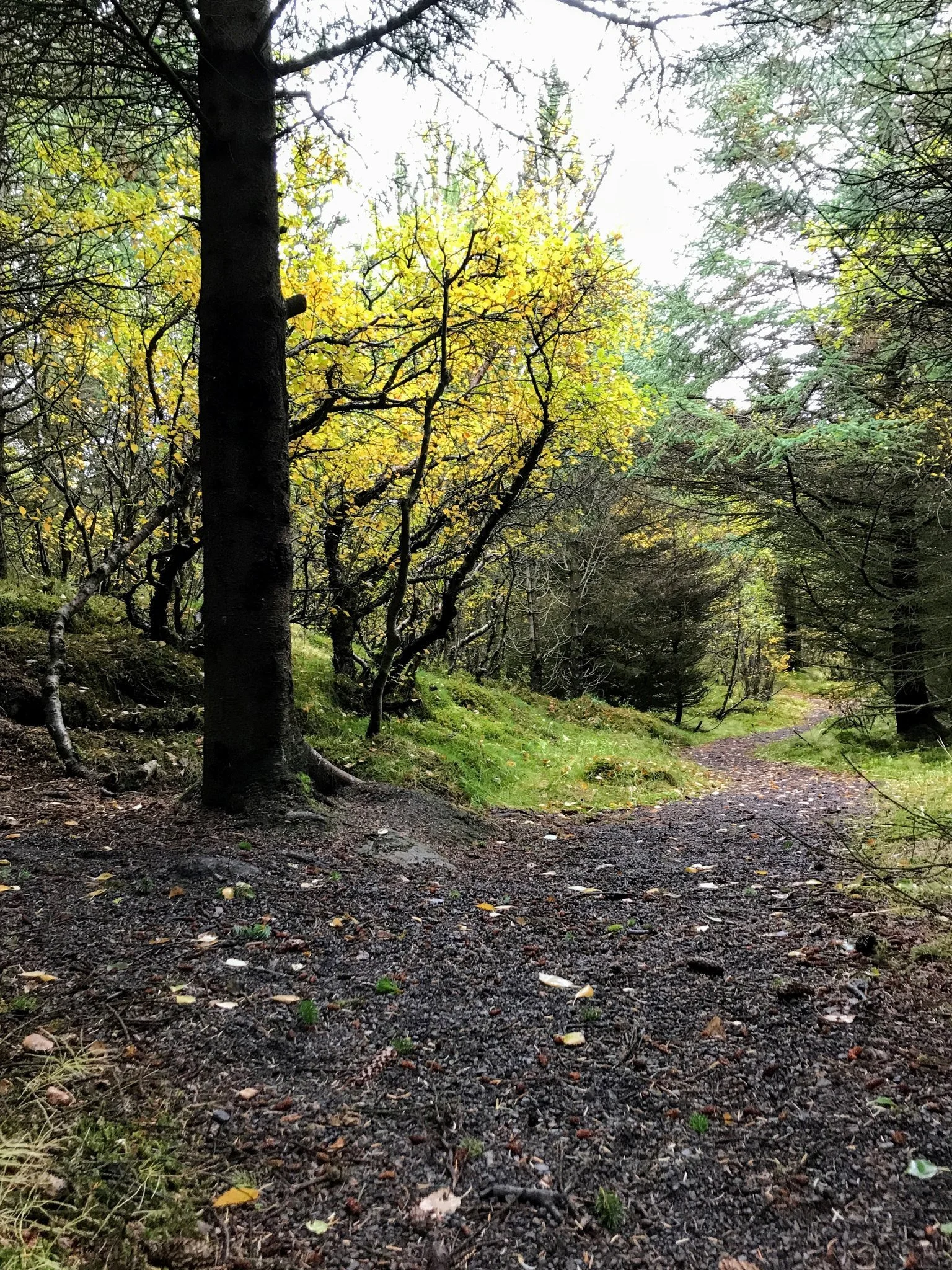 Náttúruhlaup á Óskahelgi