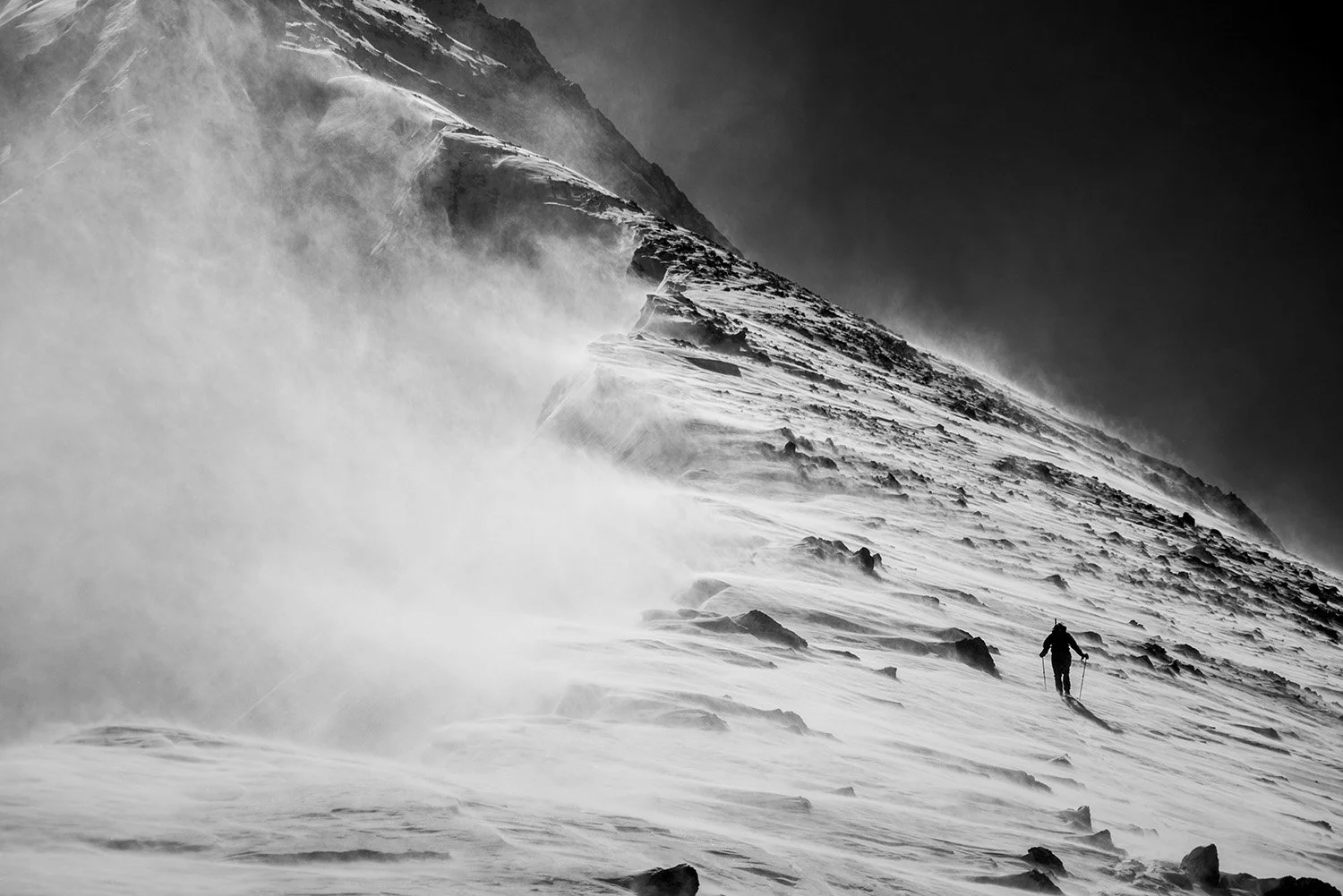 Drew_Petersen_2017_0431.jpg