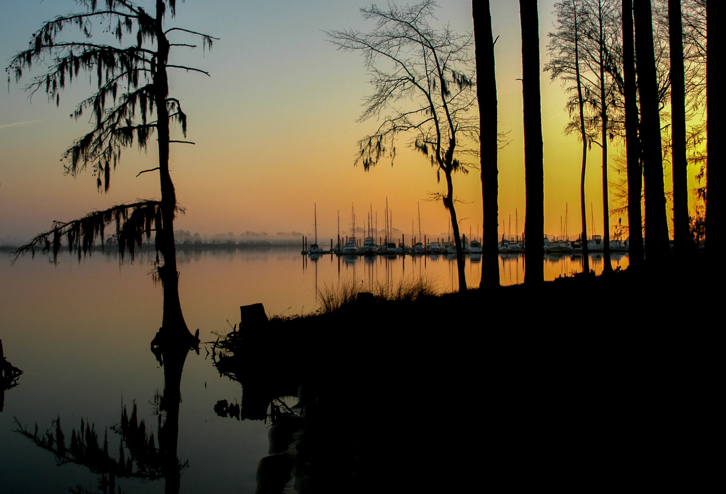 060110_Foggy_015b.jpg