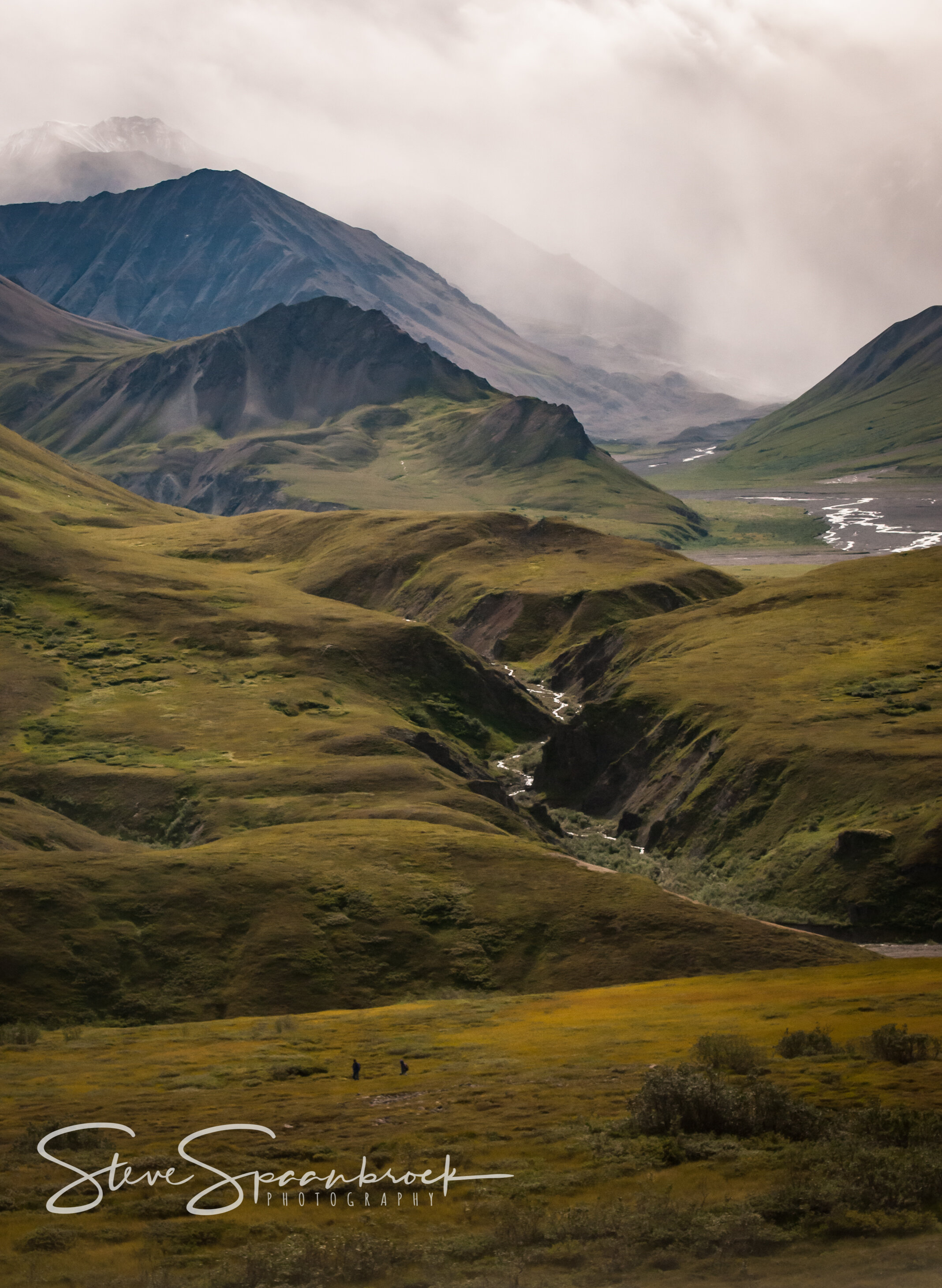 Denali_Pass-2.jpg