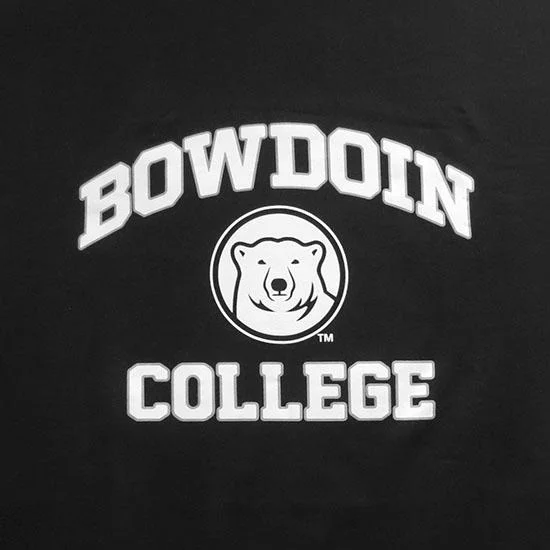 Bowdoin College –&nbsp;Public Service: Funded Interns at the Town Office, City Hall, and City Park