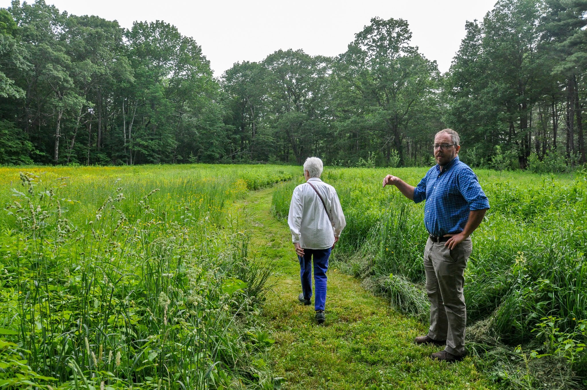 We're hiring--Volunteer Coordinator!