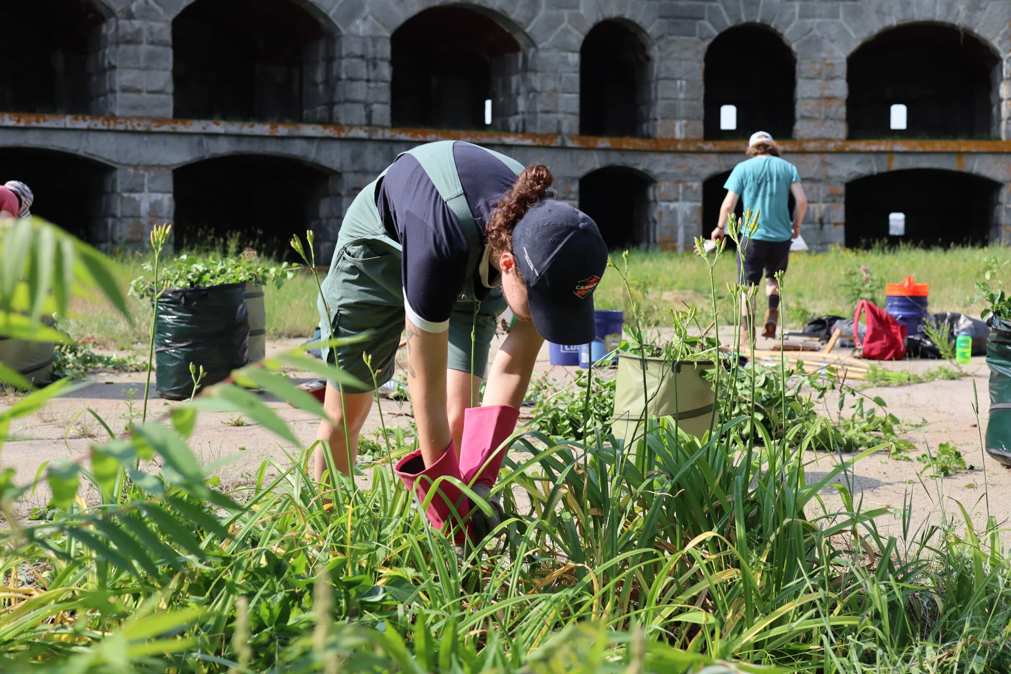 Park Volunteer Program