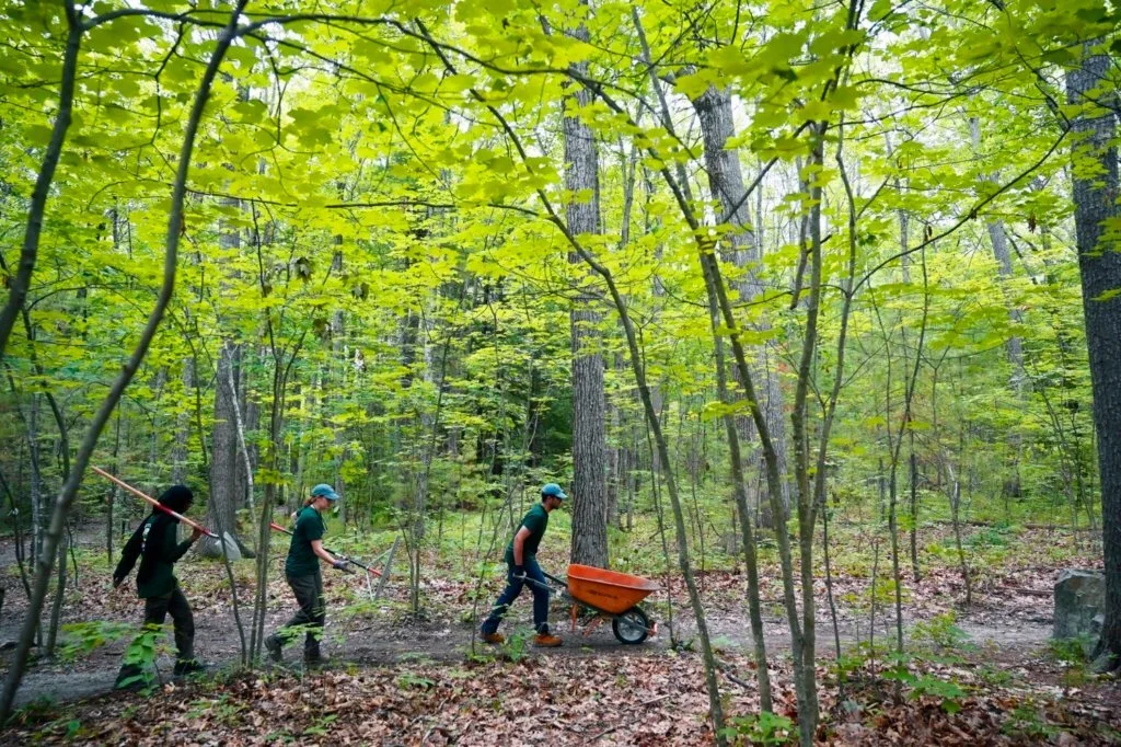 Portland Youth Corps members spend four weeks working firsthand in Portland’s parks and trails. (Photo: Shawn Patrick Ouelette, Portland Press Herald)