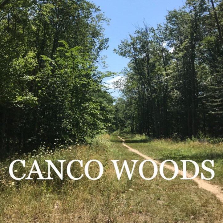 canco+woods.jpg