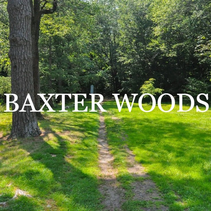 Baxter+woods+1.jpg