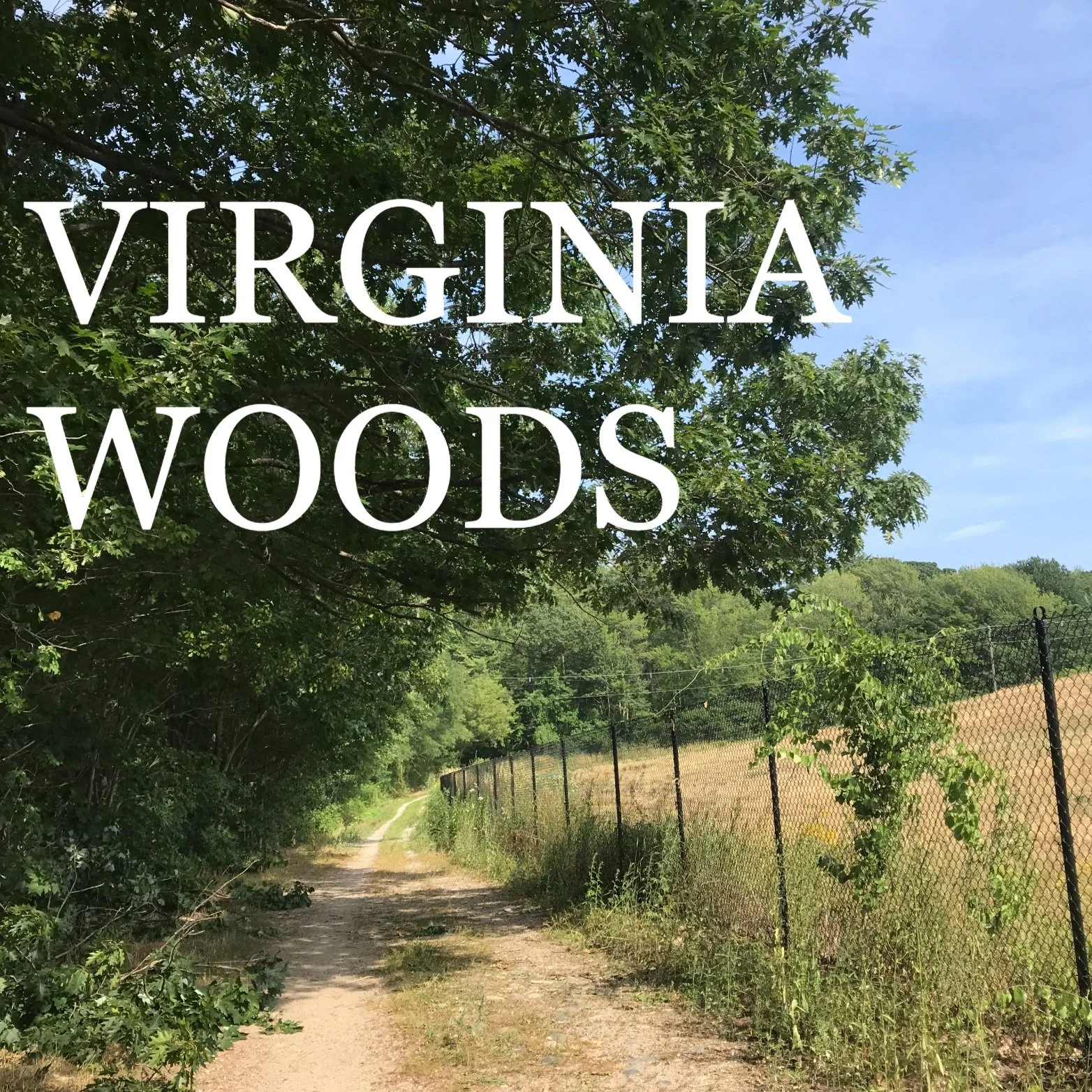 VIRGINIA+WOODS.jpg