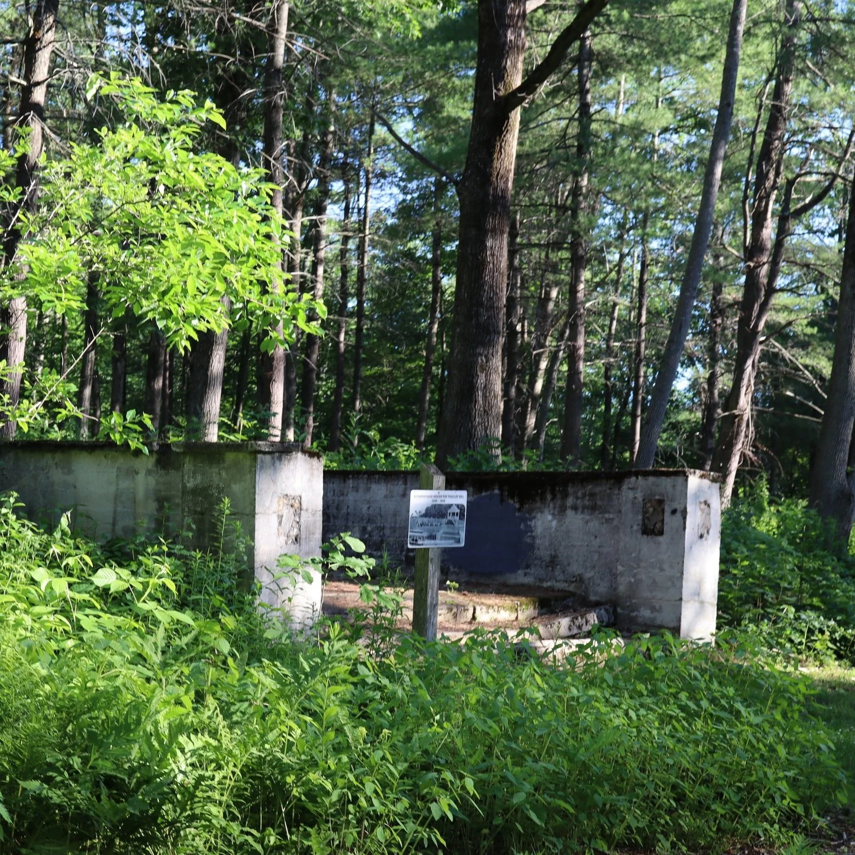Maine Community Foundation - Closing the nature gap in Maine's urban communities