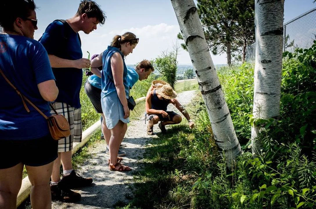 Rewilding On The Eastern Prom