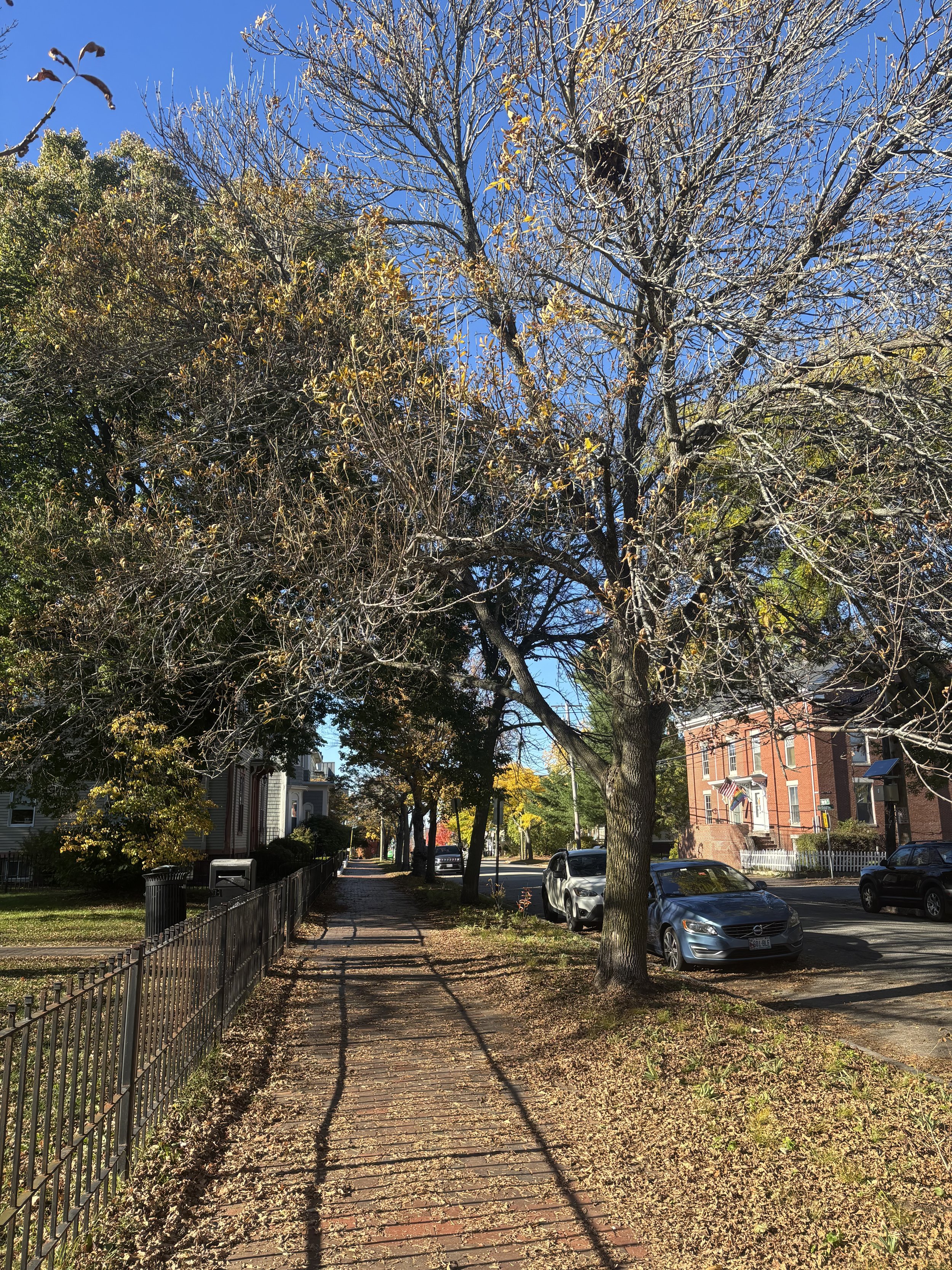IMG_1025.jpeg