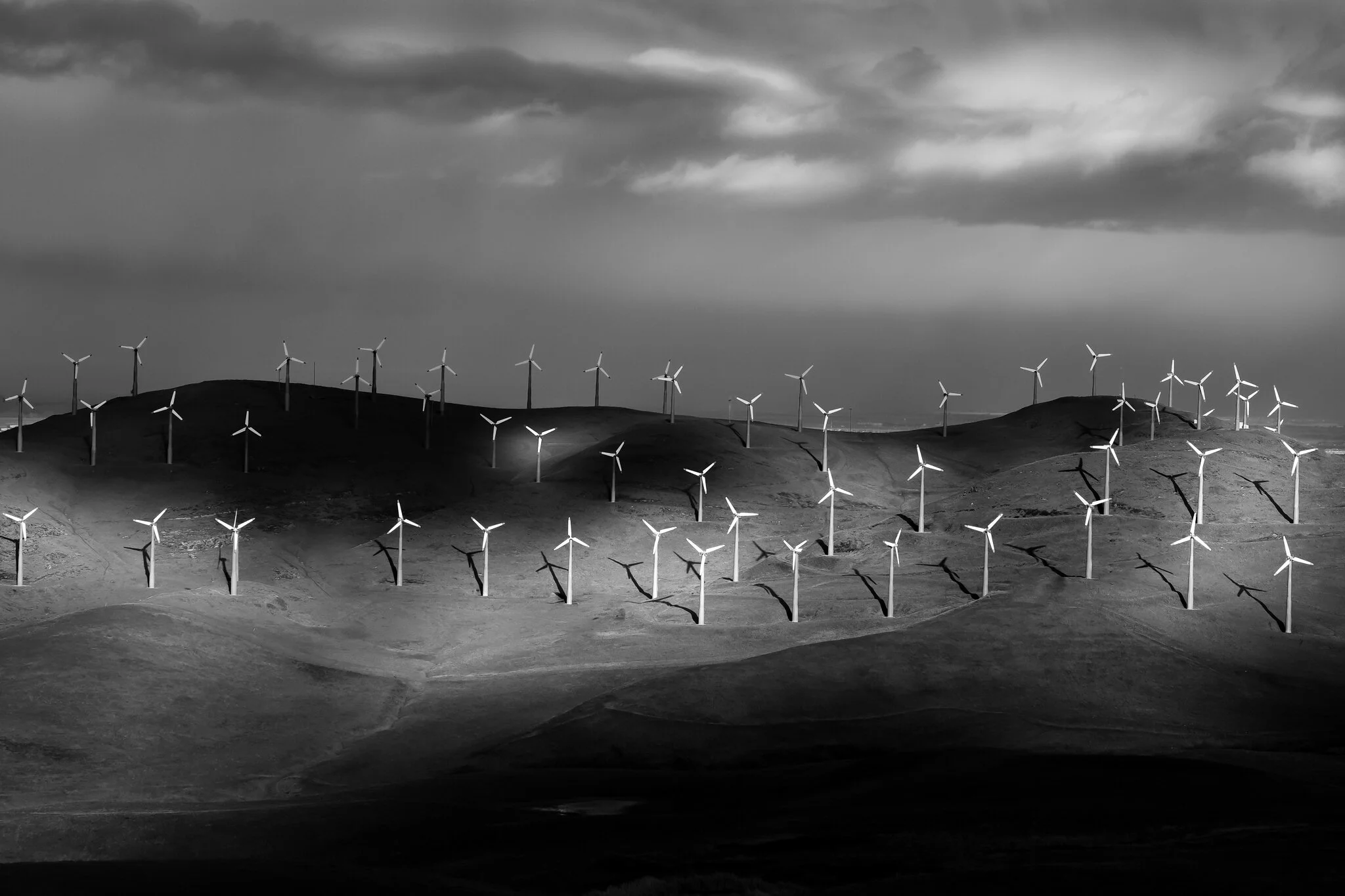 20190216-DSCF5381-Edit-2.jpg