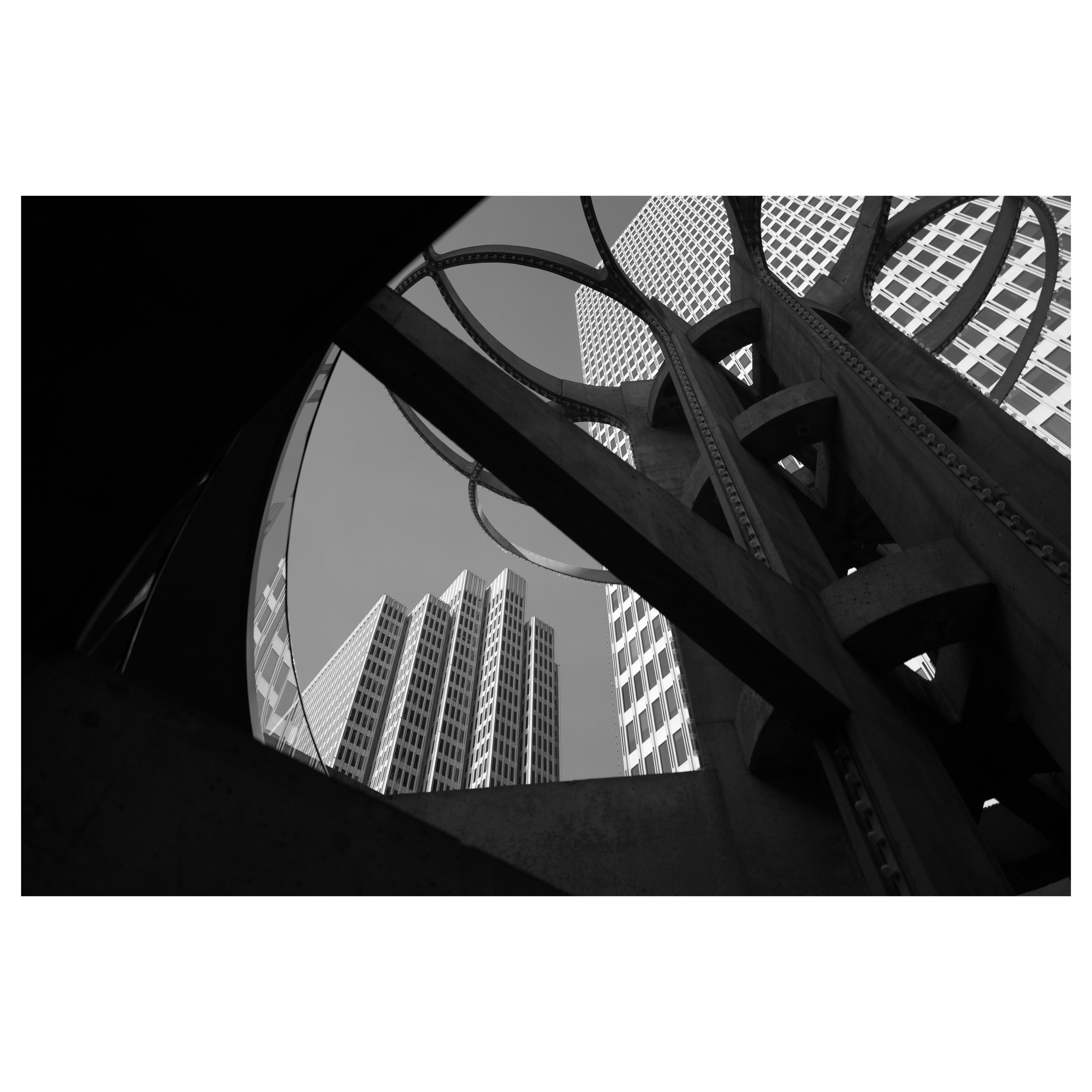 Whitagram-Image.jpeg