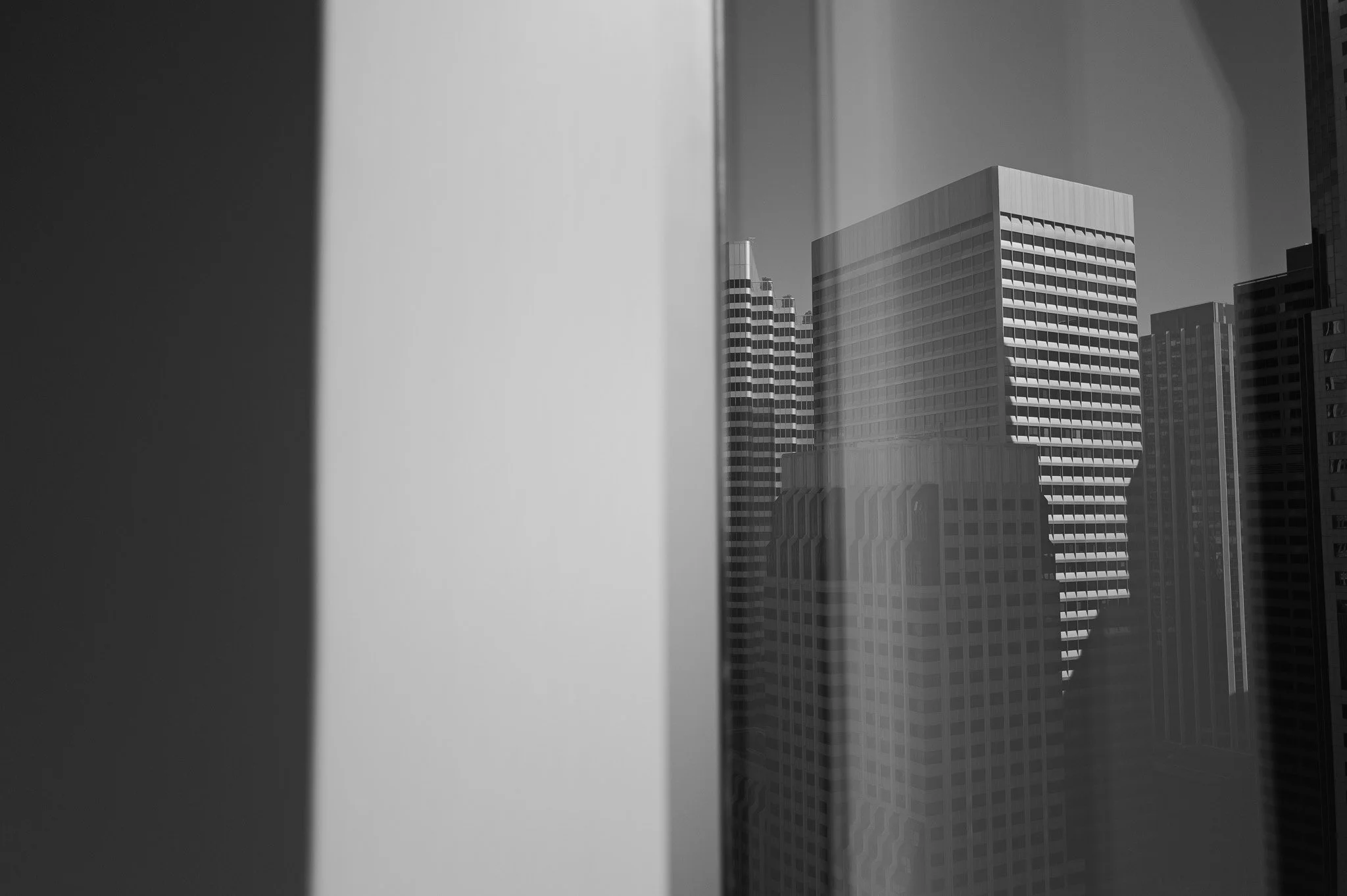 20230817-L1000041.jpg