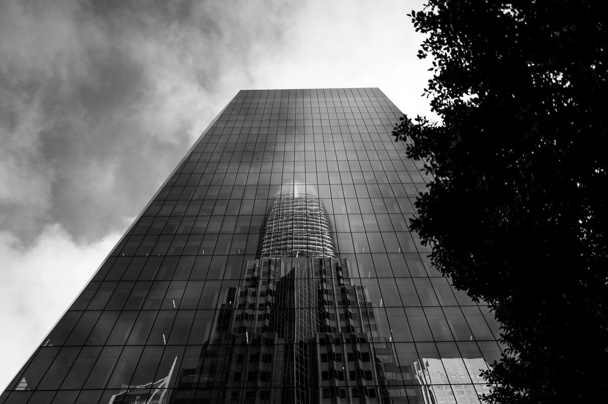 20230817-L1000073.jpg