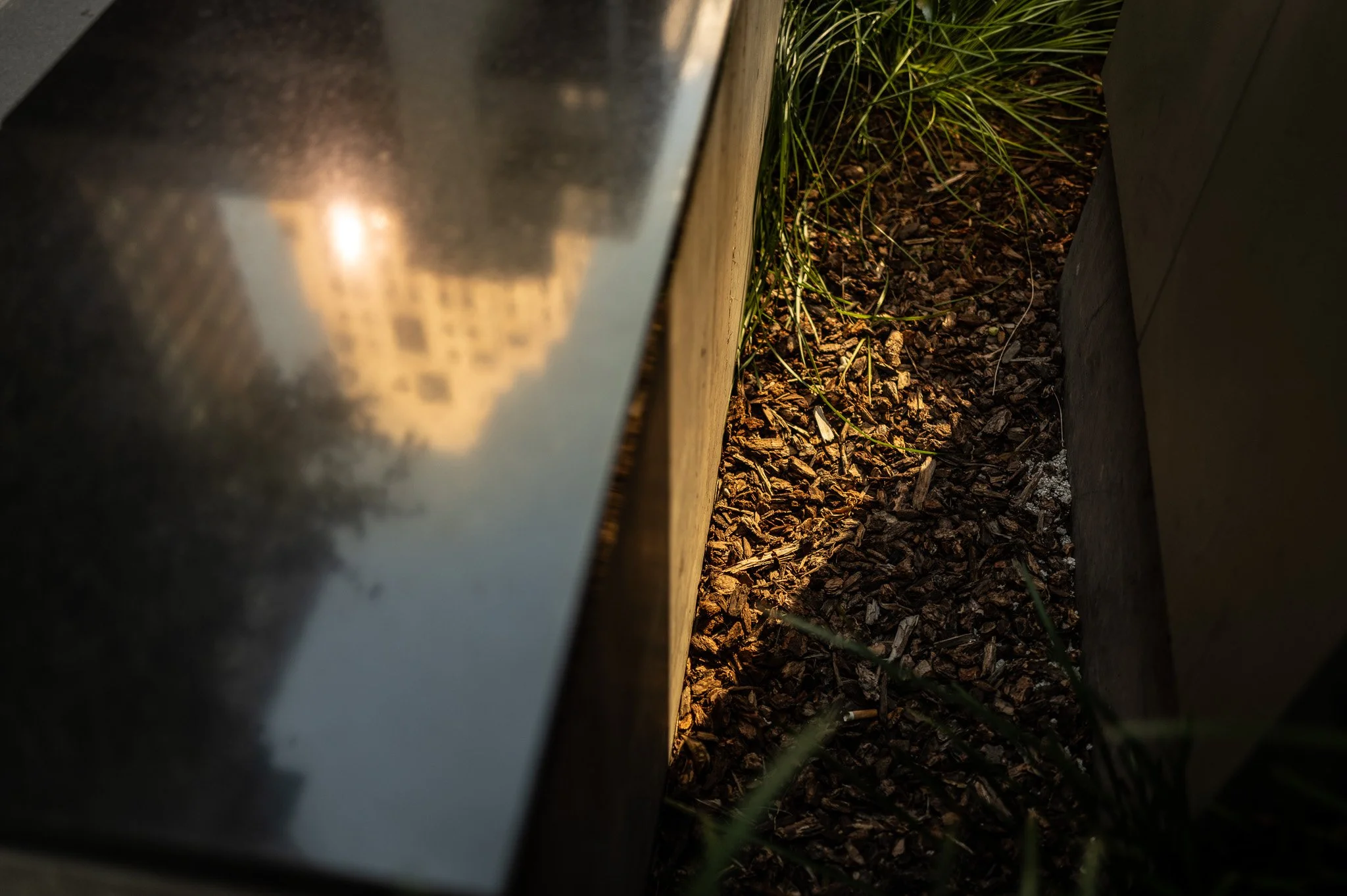 20230831-L1000677.jpg