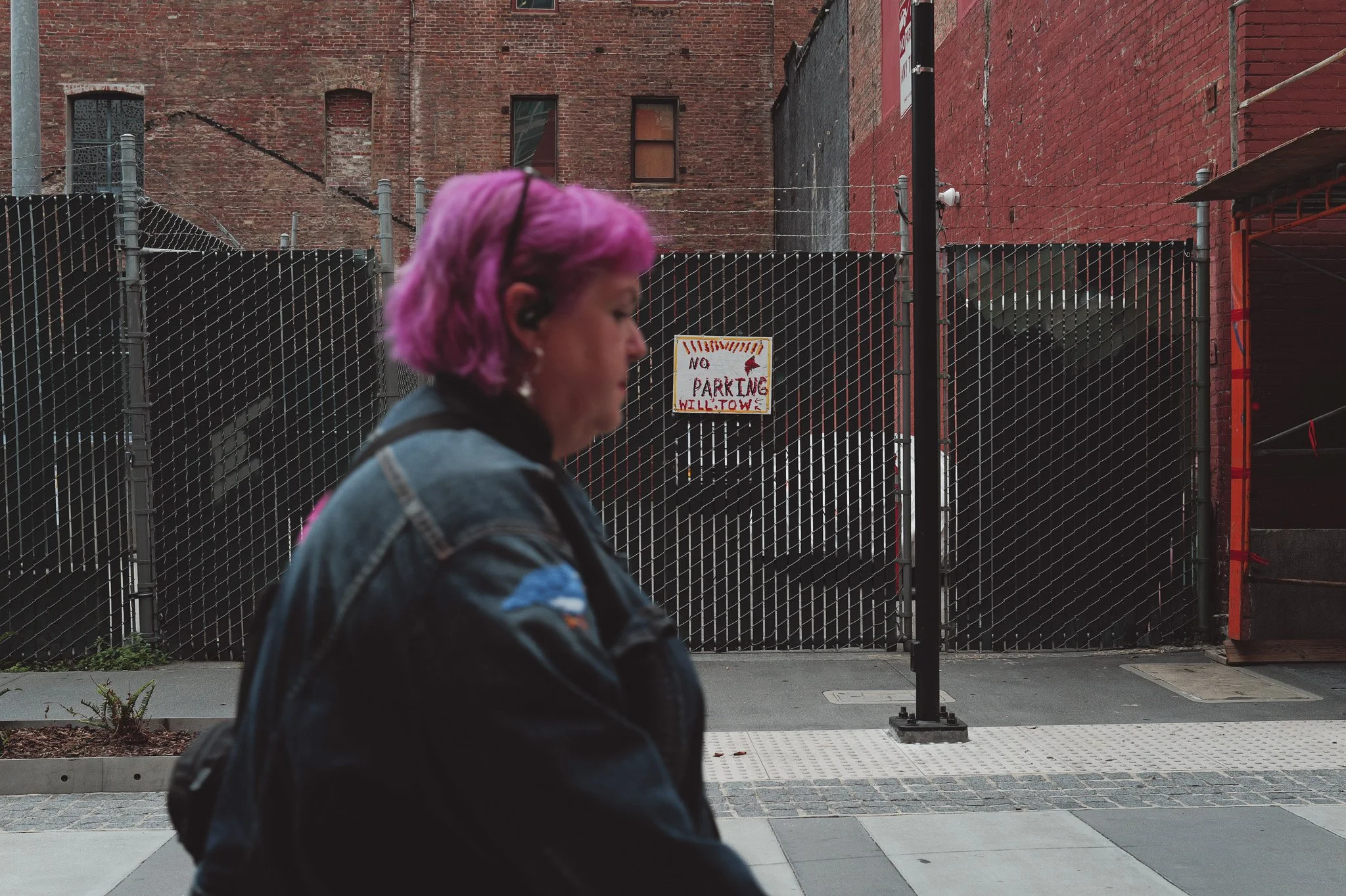 20250929-L1011549.jpg
