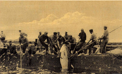 Settimana della cucina italiana nel mondo