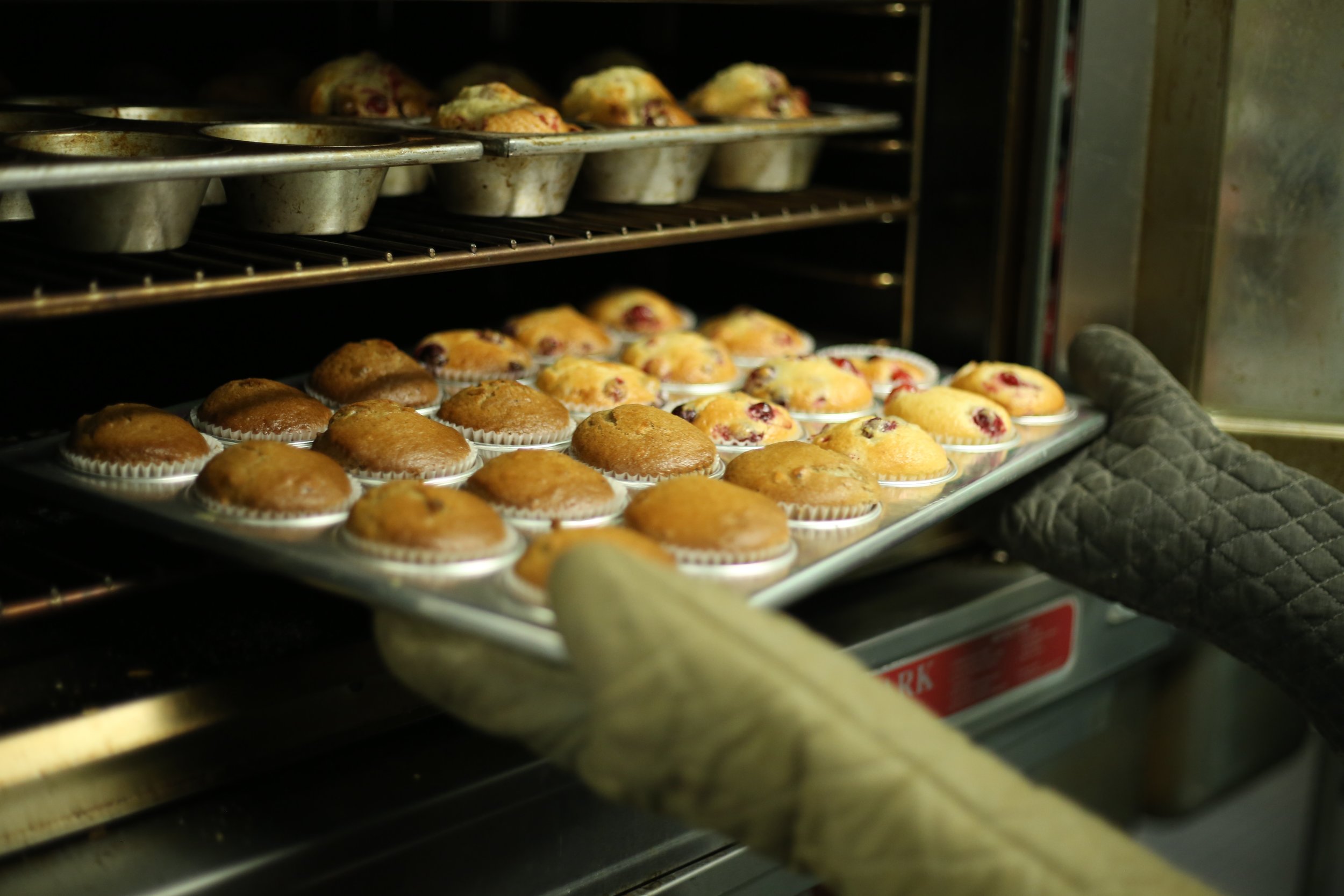 Coconut Flour Muffins with Honey and Orange Zest