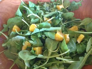 Arugula Salad with Orange Slices and Basil