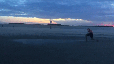 Animated GIF-downsized_large.gif