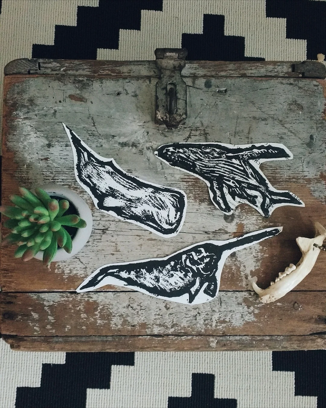 Cetaceans