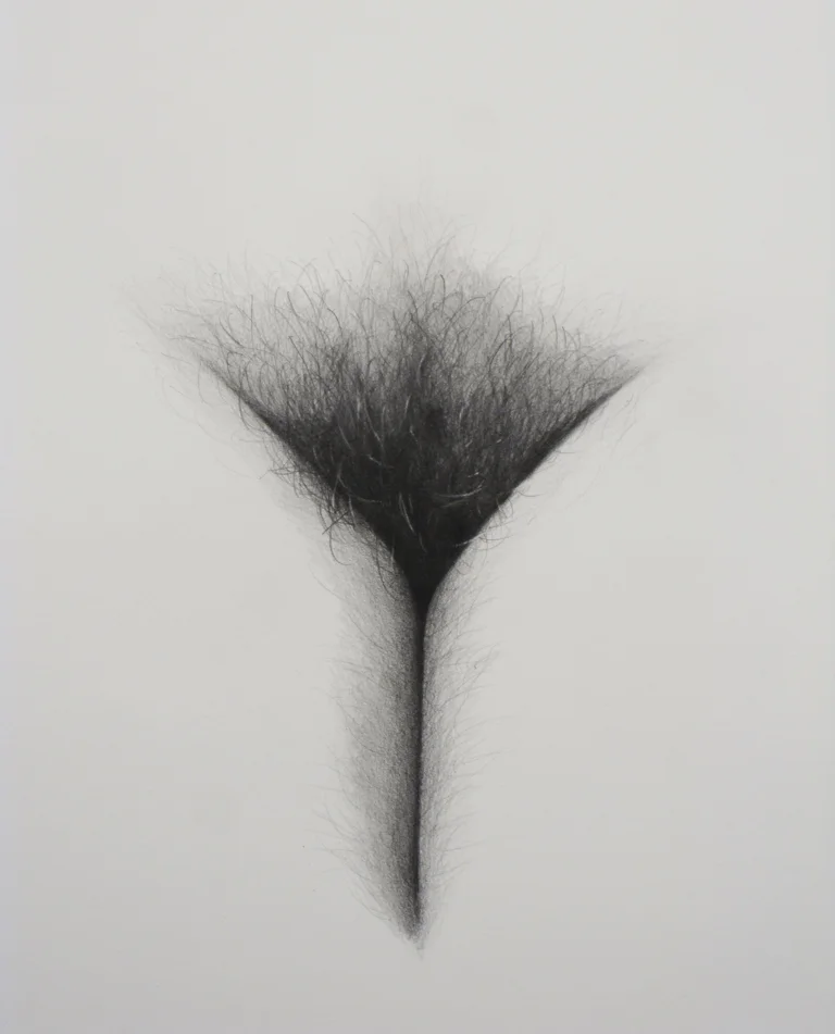 Y (6)