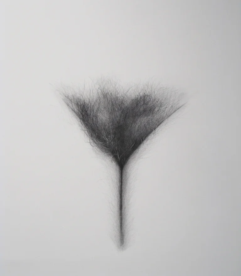 Y (11)