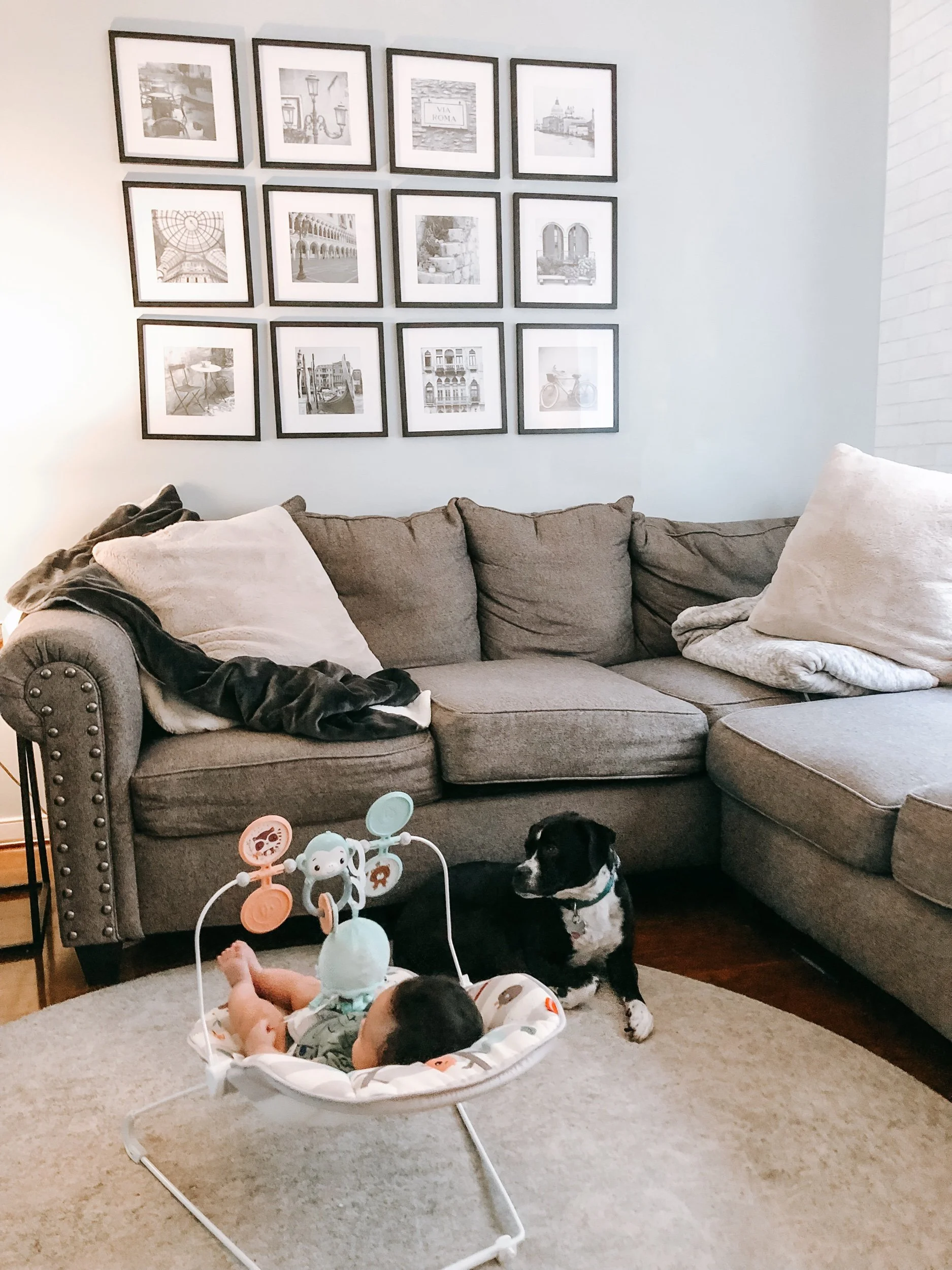 How Are The Pets Adjusting To The New Baby?