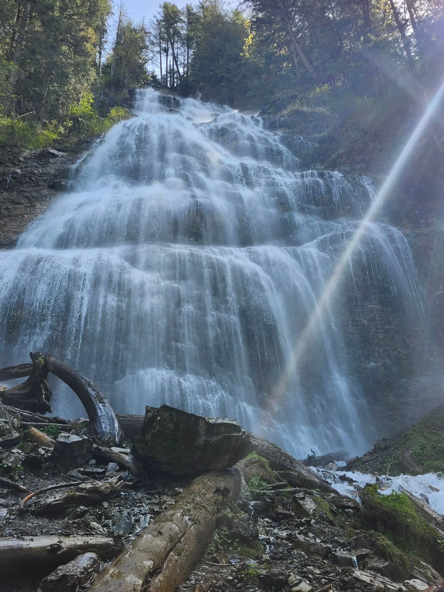 Happy Earth Day!! 🌎

The sun is shining, the snow is gone, and I think everyone is in better spirits than they were a couple months ago ❤️😉 

How are you celebrating today?

(This photo is a throwback to 1yr ago when I was in BC)