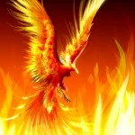 Pheonix