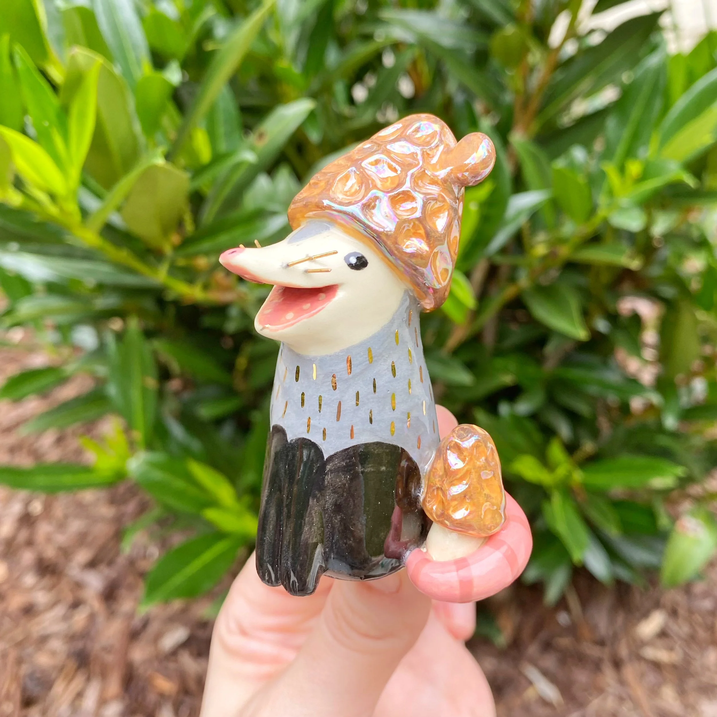 false_morell_mushroom_possum_2.jpeg