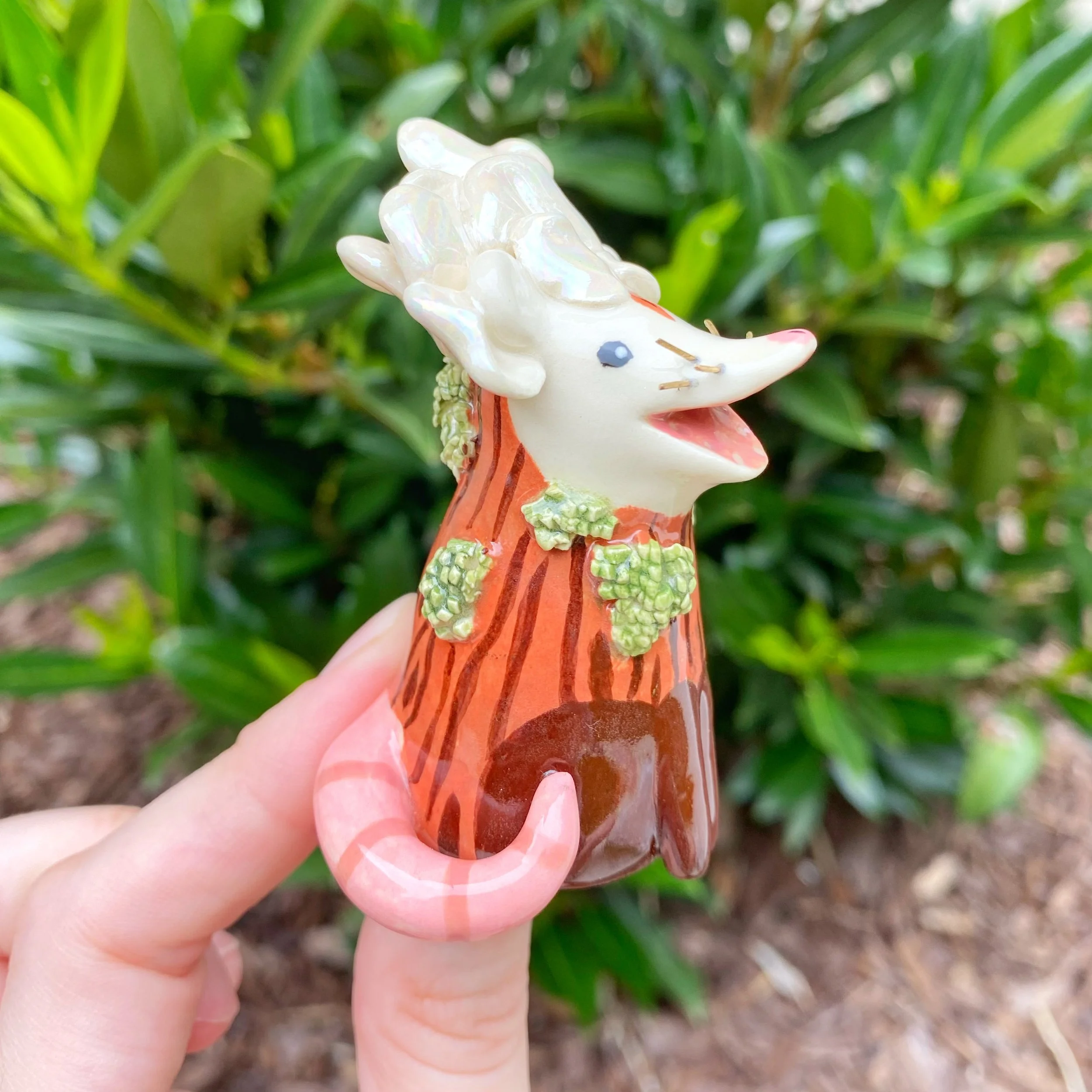 tremella_fuciformis_berk_mushroom_possum_2.jpeg