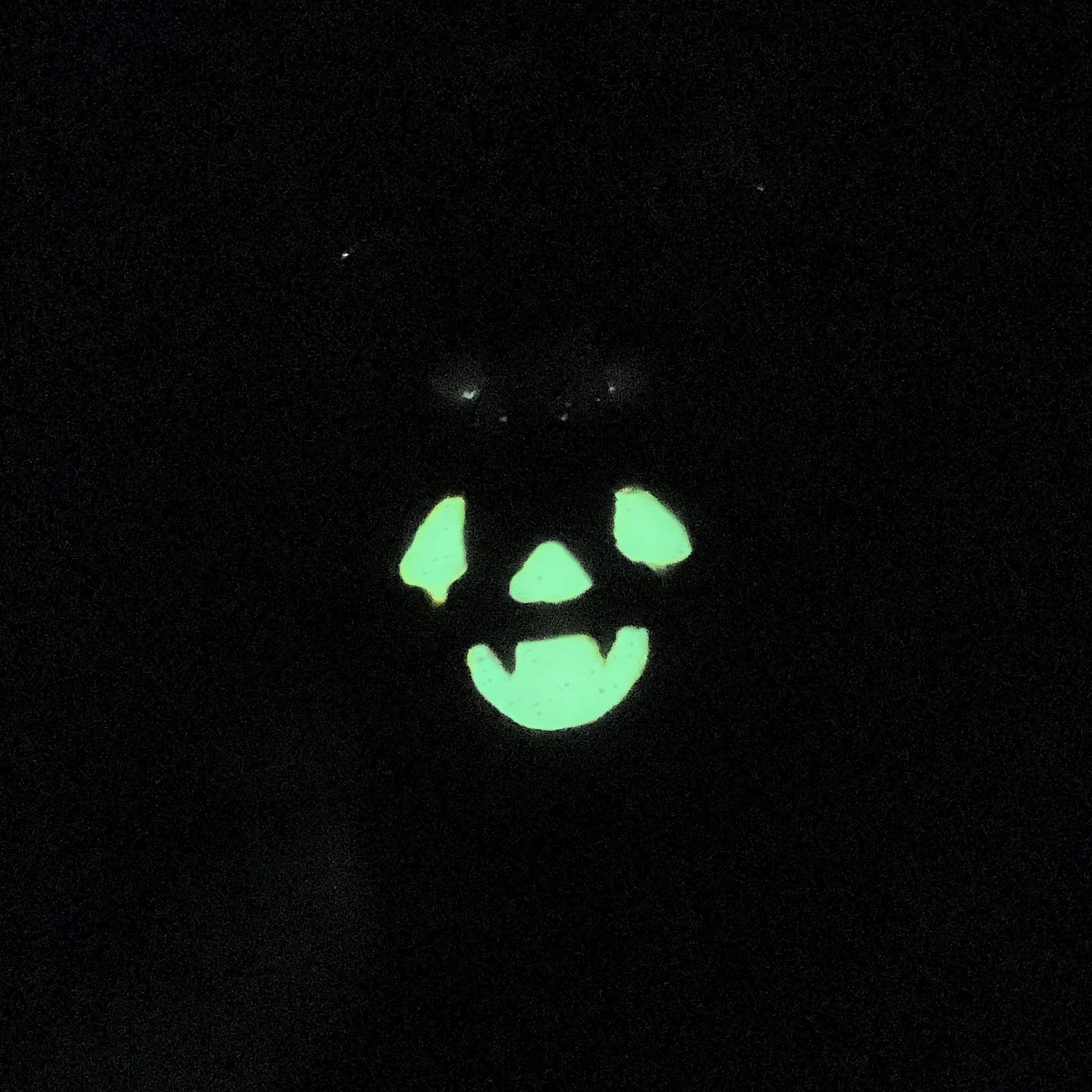 pumpkin_bat_2.jpg