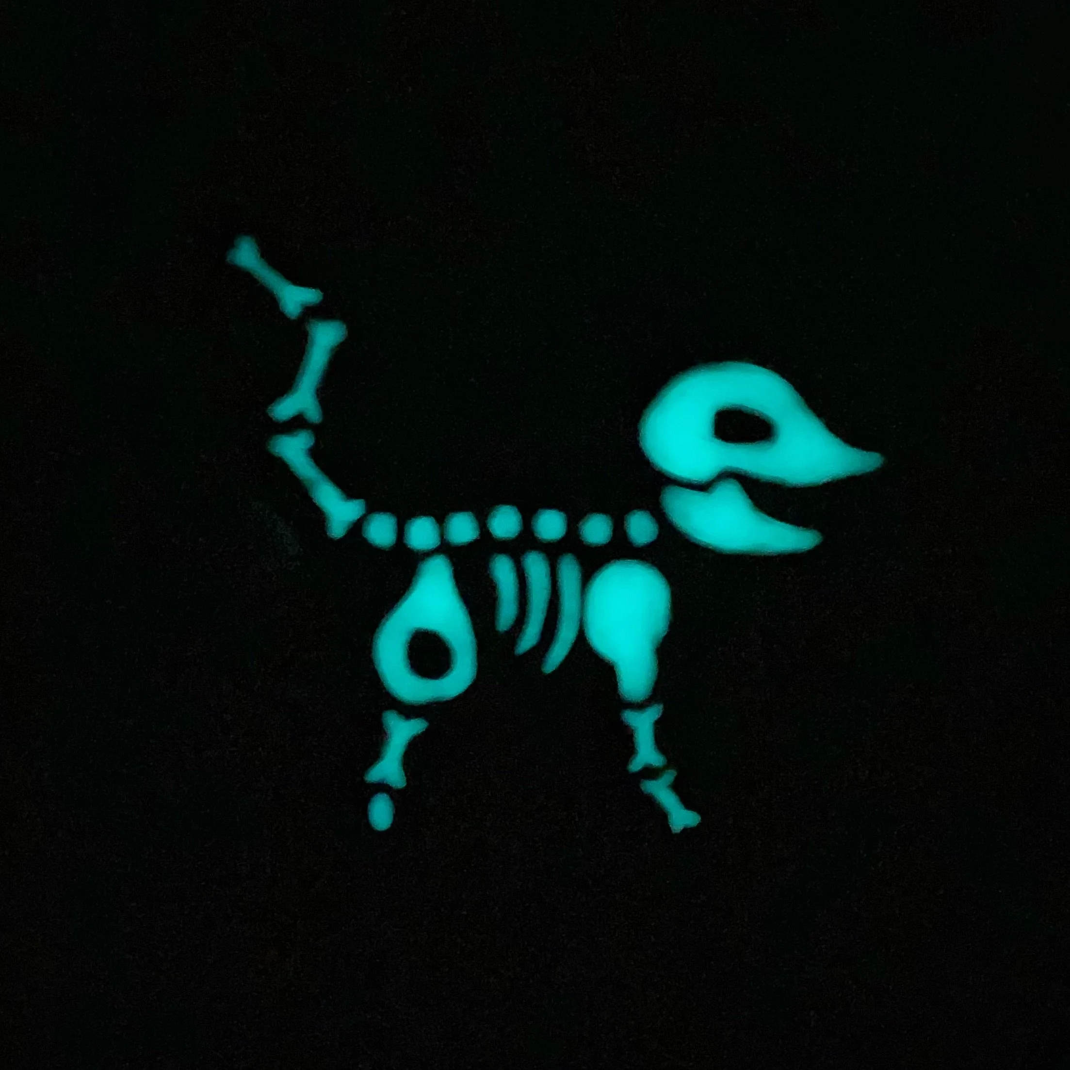 skeleton_possum_magnet_black_white_2.jpeg