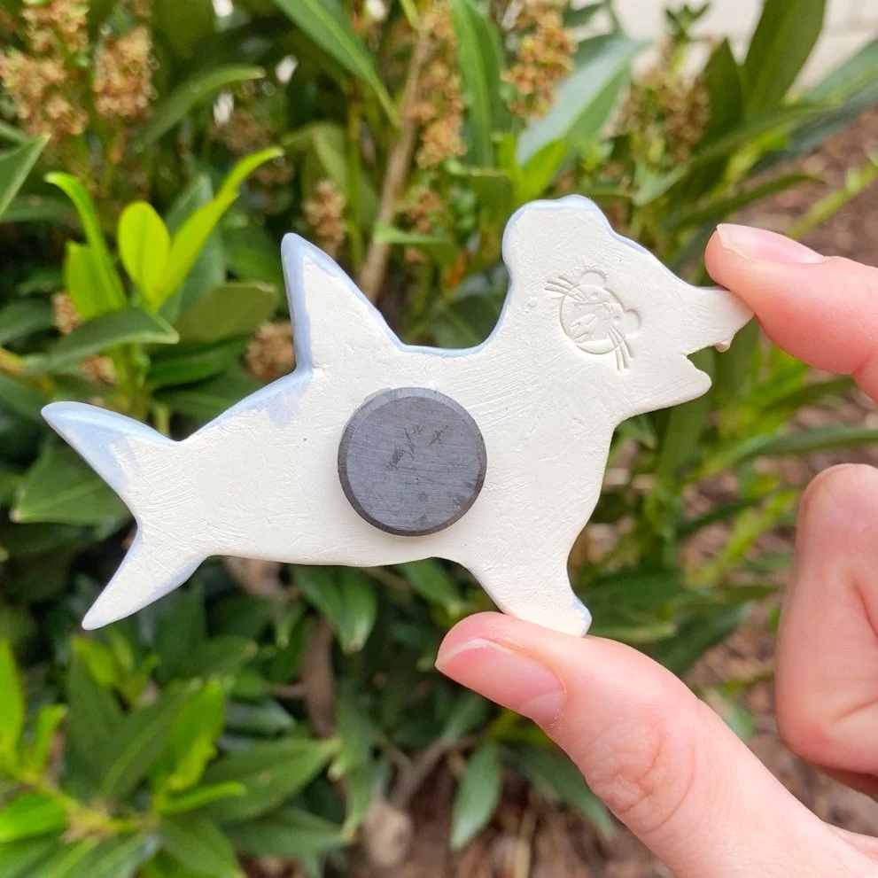 shark_possum_magnet_2.jpg