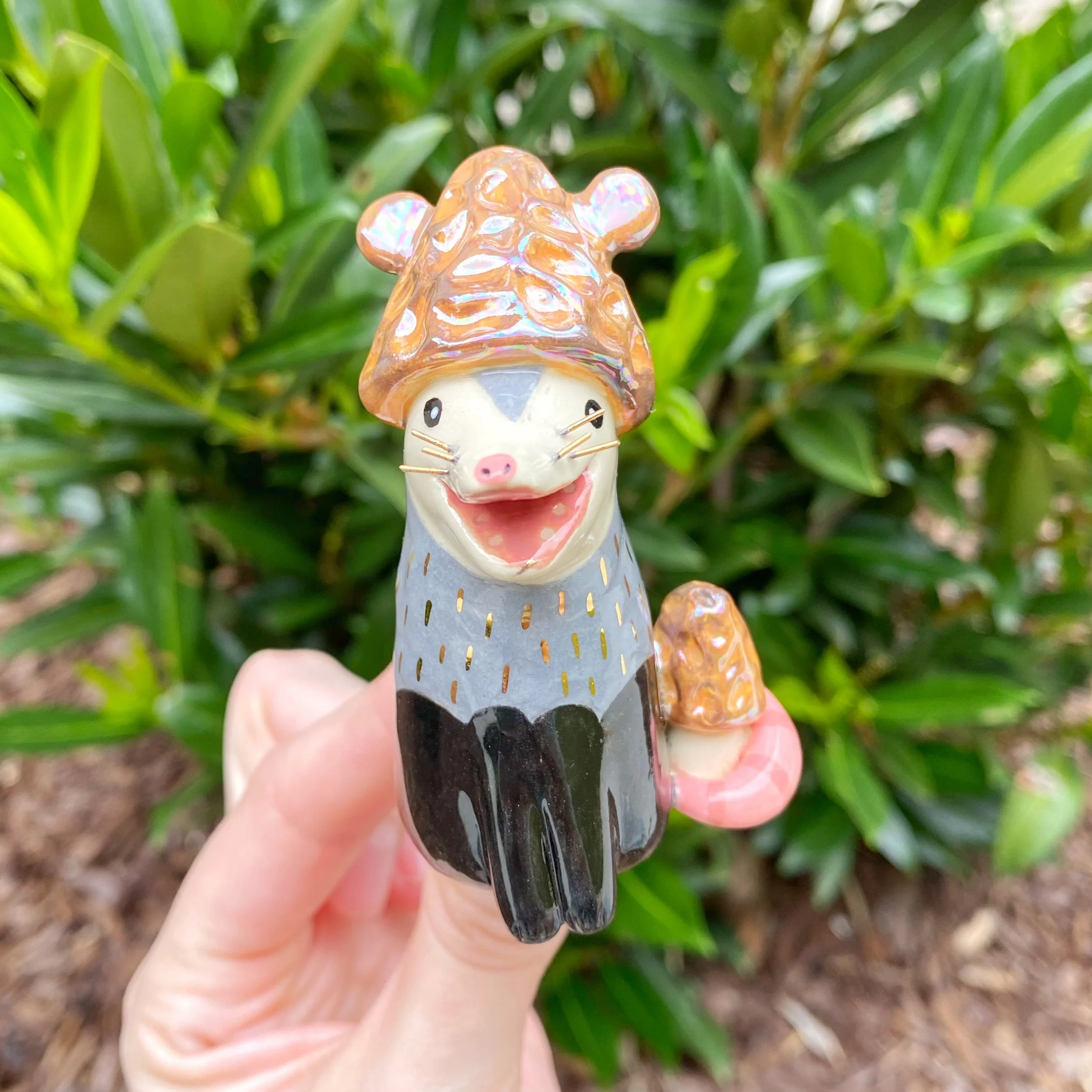 false_morell_mushroom_possum_1.jpeg